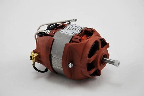 Motore lindhaus battitappeto - motore,