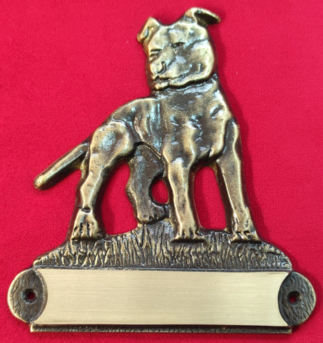American pitbull terrier - terrier,
