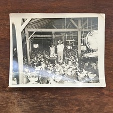 Dutch Mills Arkansas