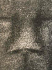 Molto Bello Disegno Carboncino