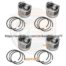 Set of 4 Piston and Piston