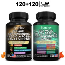 240 pezzi muschio di mare e