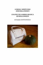 A Small White Bag And