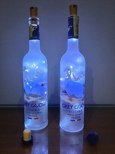 Coppia bottiglie lampada vodka - bottiglie,