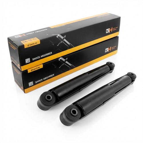 Coppia ammortizzatori gas - a,