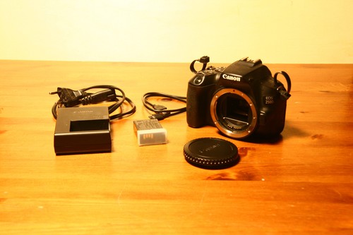 Canon eos 250d reflex - 250d,