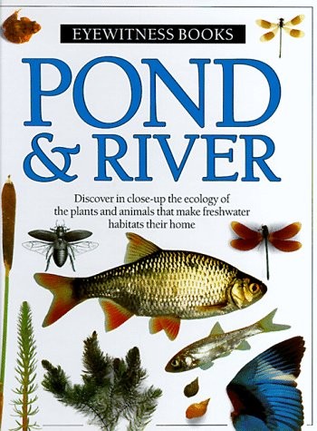 Pond river - pond,