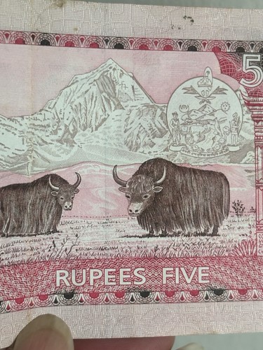 Nepal rupee banknote world - banknote,