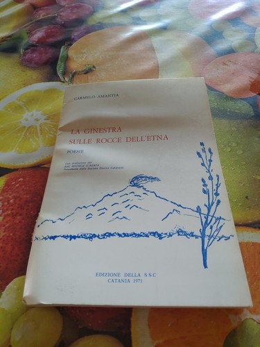 Ginestra sulle rocce - sulle,