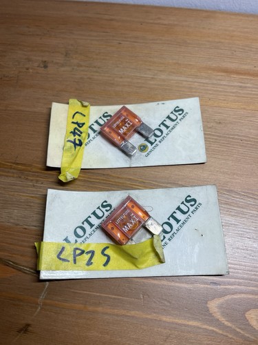 Coppia maxi fusibili - maxi, lotus