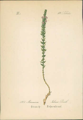 Chromolithographie - ,