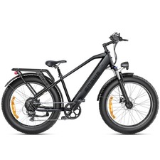 ENGWE E26 Bicicletta Elettrica