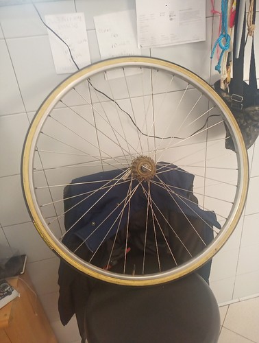 Ruota bici eroica mozzo - bici,