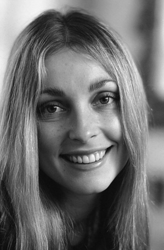 Quadro sharon tate sorridente - quadro,