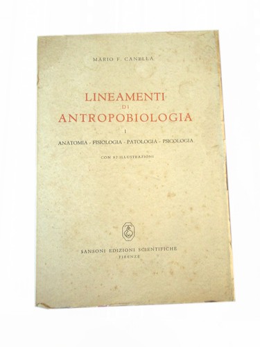 V7651 lineamenti - v7651, di