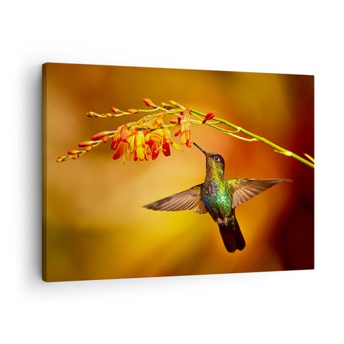 Quadro tela 70x50cm - quadro,