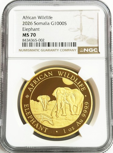 2026 oro somalia - 1000, scellini