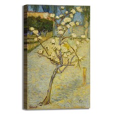 Van Gogh piccolo pero design
