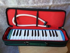Raro strumento musicale - raro,