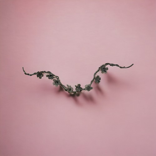 Striscia fiori rose per - , angeli
