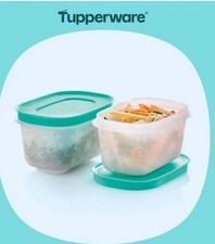 Tupperware Set 2 Contenitori