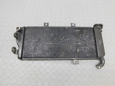 RADIATORE ACQUA CON BOZZE