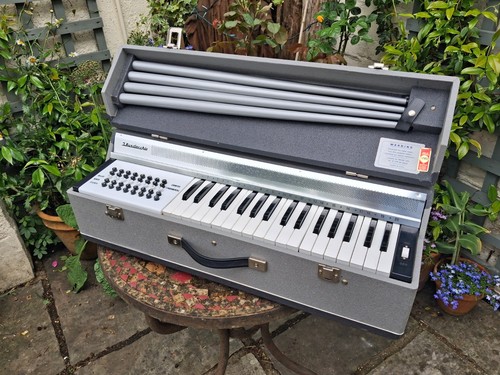 Organo elettrico portatile