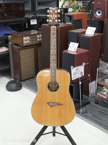Chitarra acustica dean d24 - acustica,