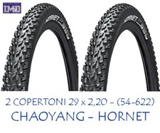 2 Copertoni CHAOYANG HORNET 29