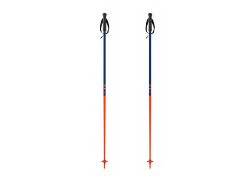 Fischer bastoncini sci - fischer,