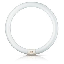 Philips Master lampada