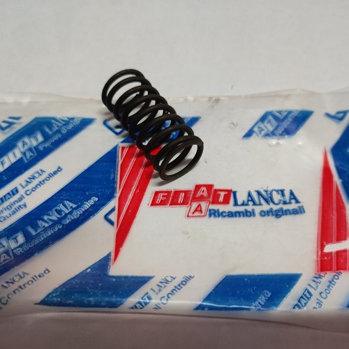 Molla interna valvola motore - interna,