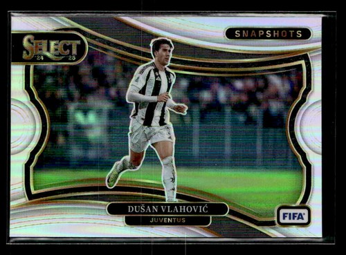 2024 panini seleziona - 2024-25,