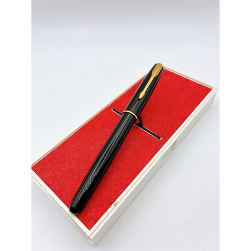 Penna stilografica parker - stilografica,