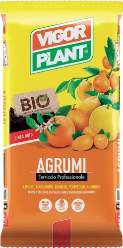 Vigorplant terriccio per - vigorplant,