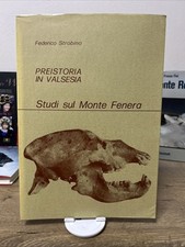 Preistoria in Valsesia Studi