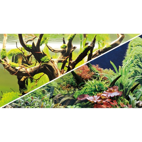 Hobby fotoritratto green - hobby,