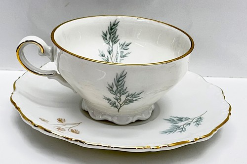 Set piattini tazza - , tè
