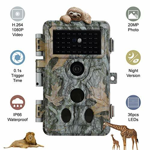 Videocamera caccia 20mp - videocamera,