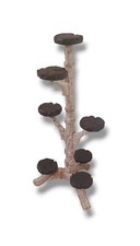 PORTAVASO LEGNO 7 POSTI PORTAPIANTE LEGNO COLONNA PORTAVASO 