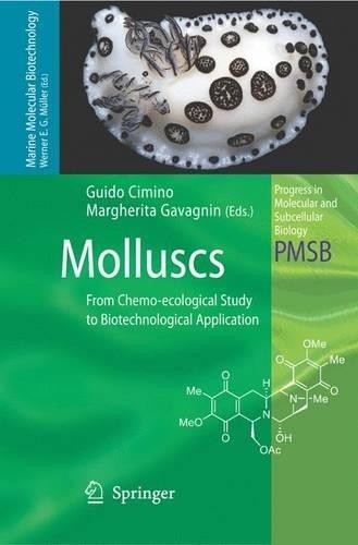 Molluscs guido cimino - guido,