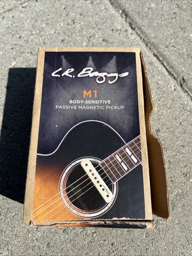 Baggs passivo soundhole - lr, m1