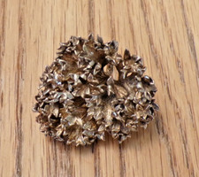 Spilla Flora Danica oro