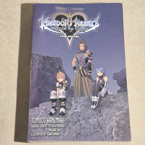 Kingdom hearts nascita - kingdom, dal