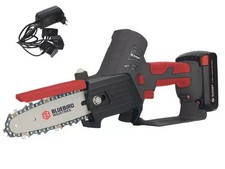 Blue Bird mini motosega potatore seghetto elettrico 2 batteria da per potatura