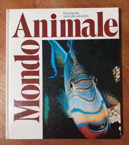 Libro mondo animale - libro,