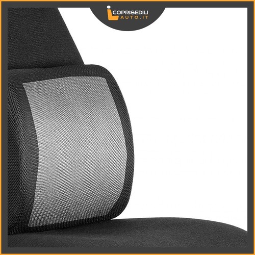 Cuscino lombare supporto - cuscino,