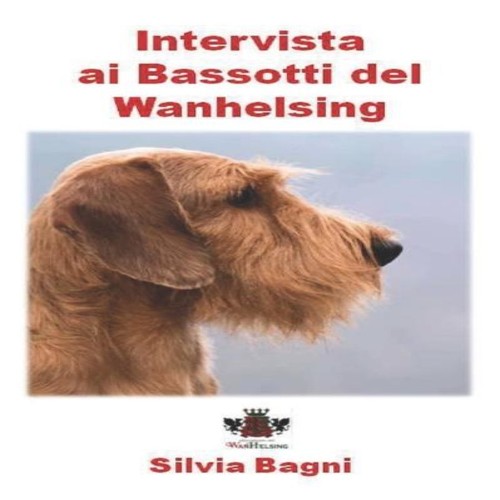 Intervista bassotti del - ai,