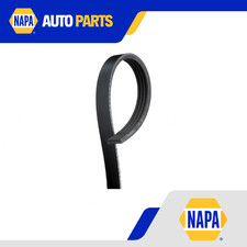 Cinghia di trasmissione 4