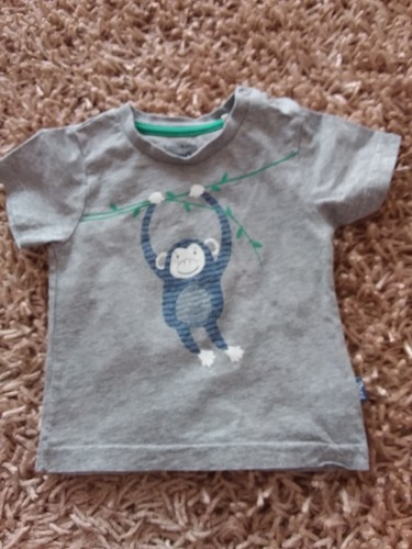 Aquilone baby top grigio - aquilone,